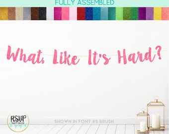 What Like It's Hard Banner, Law School Entrance Party Decor, Law School Graduation Party, Law Student Grad Party, Glitter Case Closed Sign