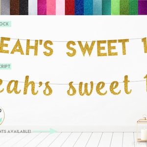 Custom Sweet 16 Banner, Sweet Sixteen Banner, Sweet 16 Party Decor, Personalized Sweet 16, Custom Sweet 16 Sign, 16th Birthday Banner