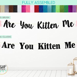 Are You Kitten Me Banner, Cat Banner, Cat Party Decorations, Cat Birthday Decor, Kitty Party Decor, Kitty Birthday Party Supplies, Cat Sign image 3