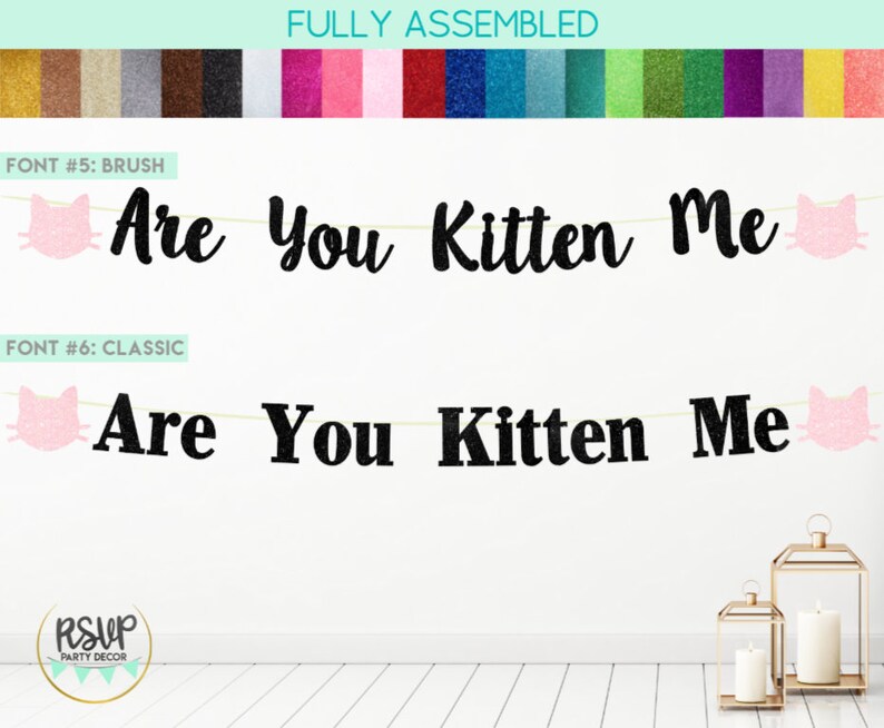 Are You Kitten Me Banner, Cat Banner, Cat Party Decorations, Cat Birthday Decor, Kitty Party Decor, Kitty Birthday Party Supplies, Cat Sign image 3