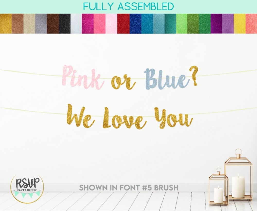 Pink or Blue We Love You Banner, Gender Reveal Party Decorations, Gender  Reveal Banner, Guess the Gender Party Decor, Pink or Blue Banner 