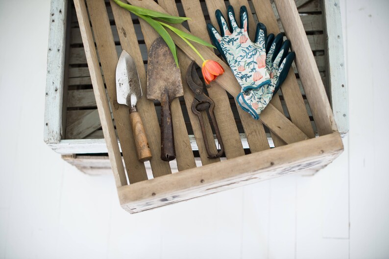 Vintage tulip bulb crate Etsy