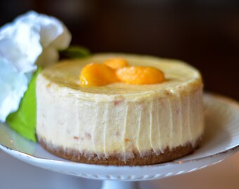 White Chocolate Orange 4X2 in.