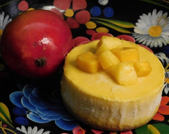 Mango Cheesecake 4X2 in.
