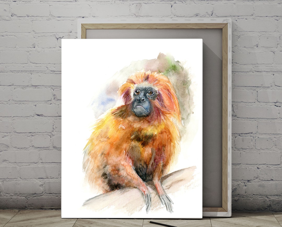 Golden Lion Tamarin Monkey Art Print Watercolor Print Mix - Etsy