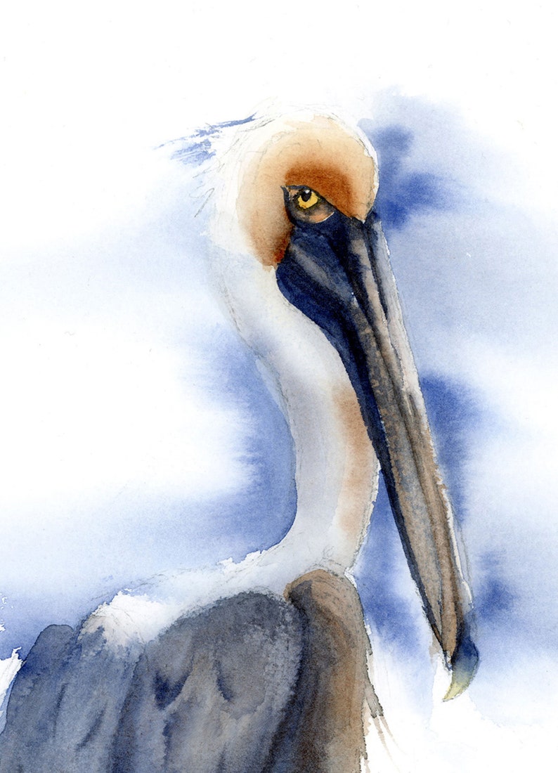 Watercolor Pelican Original painting wall art decor Whimsical Etsy