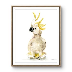 Original Parrot Watercolor Painting: Tropical Bird Art, White Cockatoo