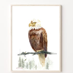 Bald Eagle Original Watercolor Painting, Wild American Bird of Prey Wall Art Decor