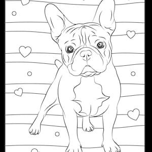 Digital Print Dog Coloring Pages and  Dot Marker Activity Pages (31 pages)
