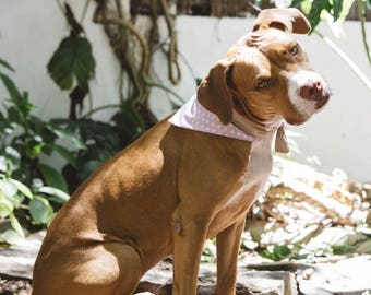 Dog Bandana // Twiggy Bandana // Pink Polka Dot