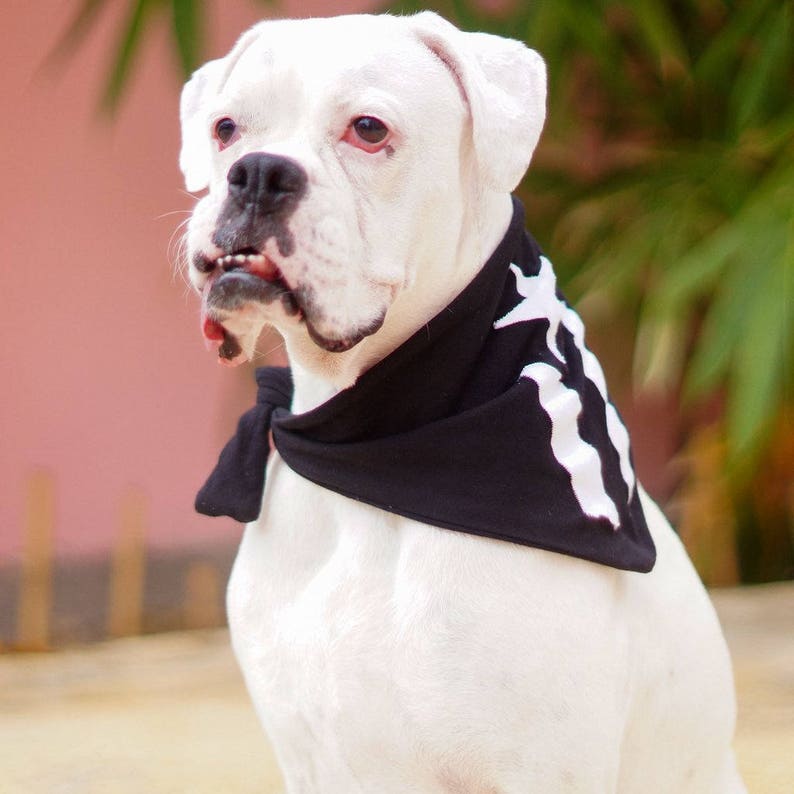 Dog Bandana La Marcha Bandana Black and White Puerto Rican Flag Resistance Flag