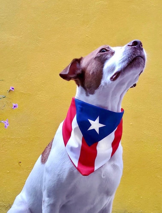 Dog Bandana Azul Anil Boricua Bandana Puerto Rican Flag Dark Blue PR Flag Etsy Canada