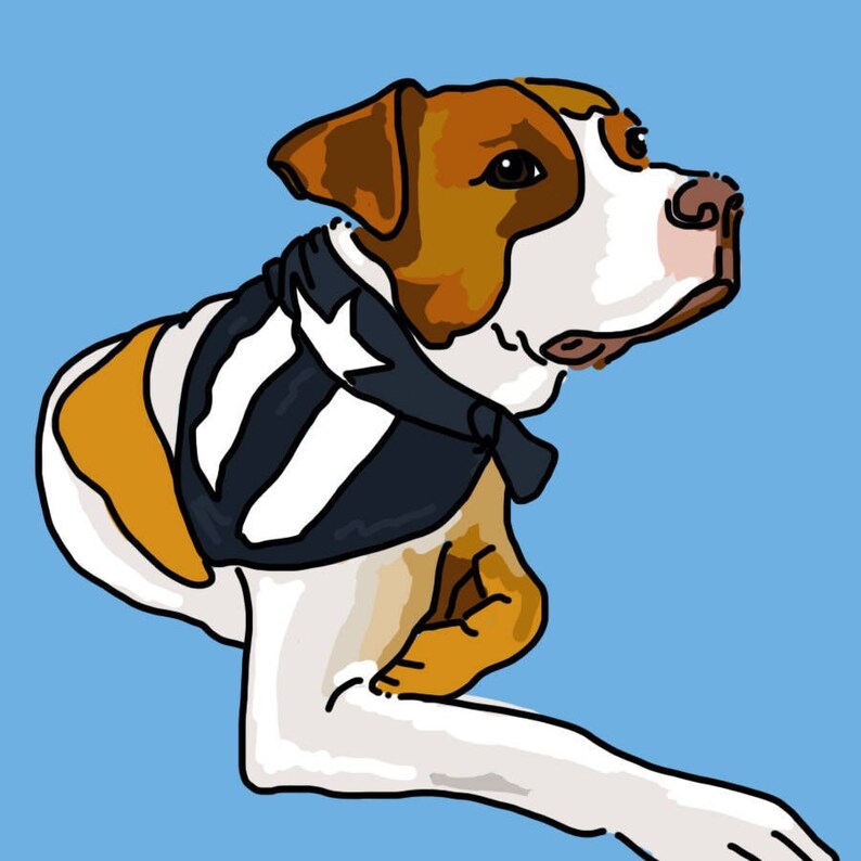 Dog Bandana La Marcha Bandana Black and White Puerto Rican Flag Resistance Flag