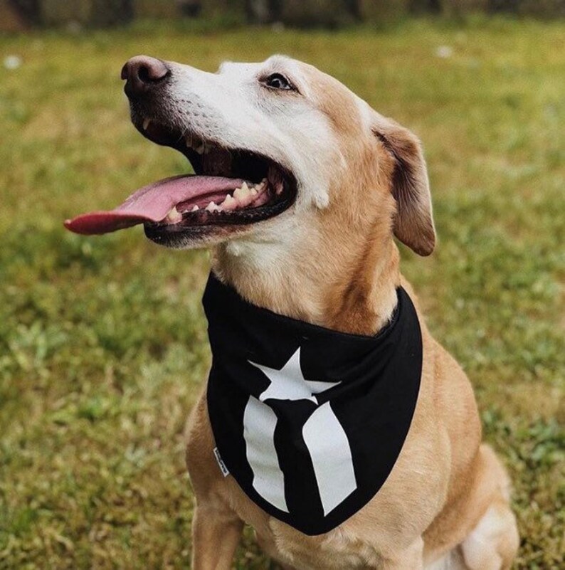 Dog Bandana La Marcha Bandana Black and White Puerto Rican Flag Resistance Flag