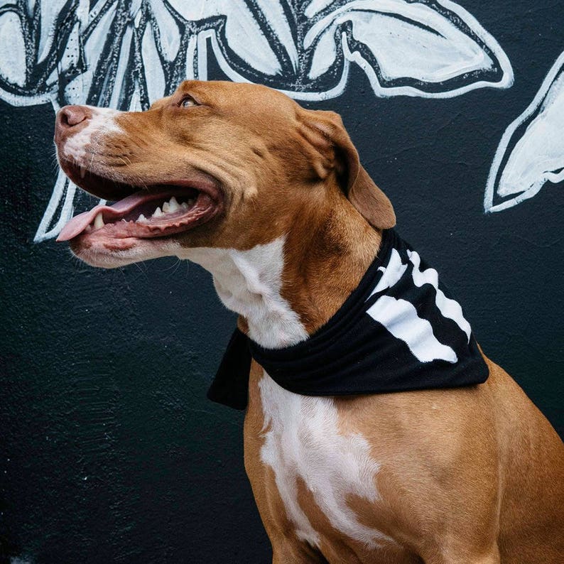 Dog Bandana La Marcha Bandana Black and White Puerto Rican Flag Resistance Flag