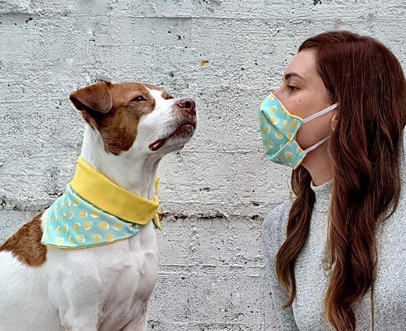 Beer hot sale dog bandana