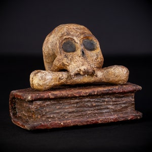 Memento Mori Sculpture | Italian Antique 1700s Wooden Skull Statue | 18th Century Wood Carving Death and Book | 7.5&quot; / 19 cm Large
