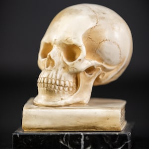 Memento Mori | Antique Carved Alabaster Skull on Book | Death Vanitas Marble Base | 5.1&quot; / 13 cm Large