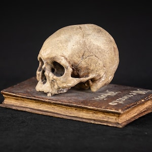 Memento Mori Sculpture | French Antique 1700s Wooden Skull Statue | 18th Century Wood Carving Death and Book | 6.1&quot; / 15.5 cm Large