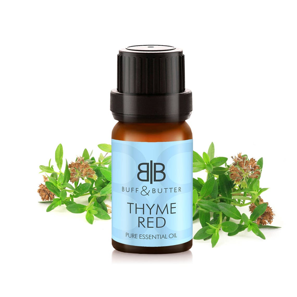 Thyme Red Thymus Vulgaris Essential Oil 100 Pure Natural Etsy
