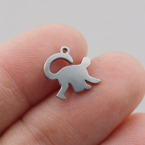 Puede incluir: Un pequeño dije de color plateado con forma de dinosaurio estilizado. El dije tiene un lazo en la parte superior para sujetarlo a un collar o pulsera. El dinosaurio está representado de perfil, con la cola enroscada.