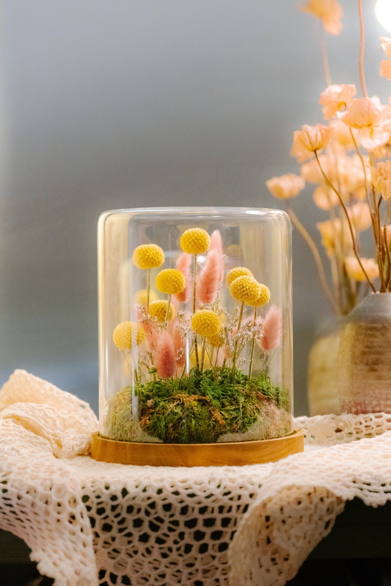 Large Dried Flower Cloche Etsy