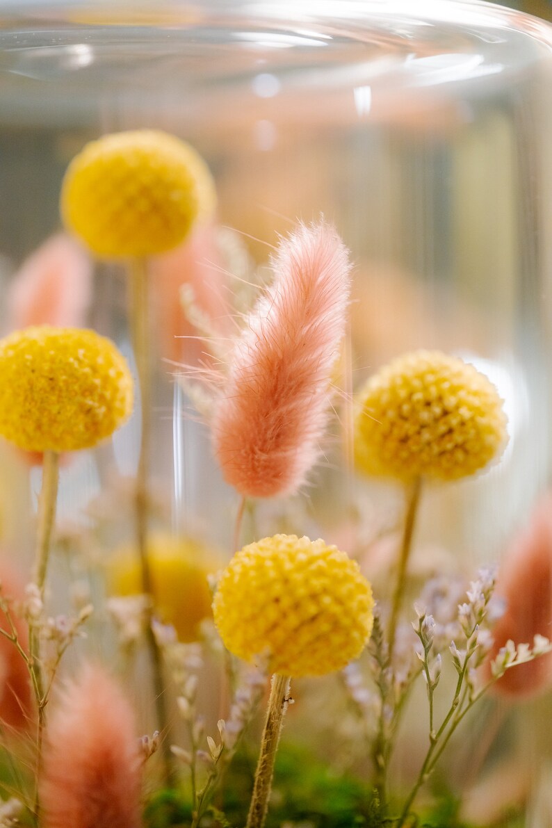 Large Dried Flower Cloche Etsy