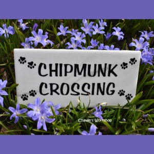 Chipmunk Crossing - Funny Garden Sign, Father's Mother's Day Gift, Garden Sign, Gift for Gardener, Free Domestic Shipping ChawinsWorkshop