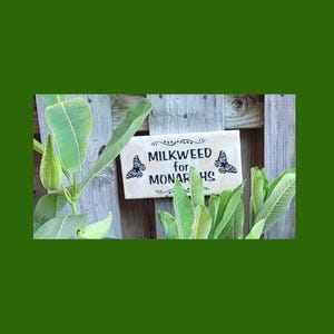 Op de afbeelding: Een rechthoekig bord met de tekst "MILKWEED for MONARCHS" en vlinderillustraties. Het bord is gemonteerd op een houten hek, omringd door groene melkplanten.