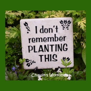 I don't remember planting this Funny Garden Sign, Funny Gift for Gardener Father's Mother's Day Gift Free Domestic Shipping ChawinsWorkshop