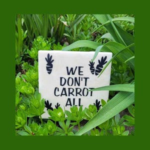 Panneau de jeu de mots We Don't All Carrot, dictons végétariens drôles, jeu de mots de jardin, cadeau pour jardinier, panneaux d'extérieur étiquette plante carotte jeu de mots