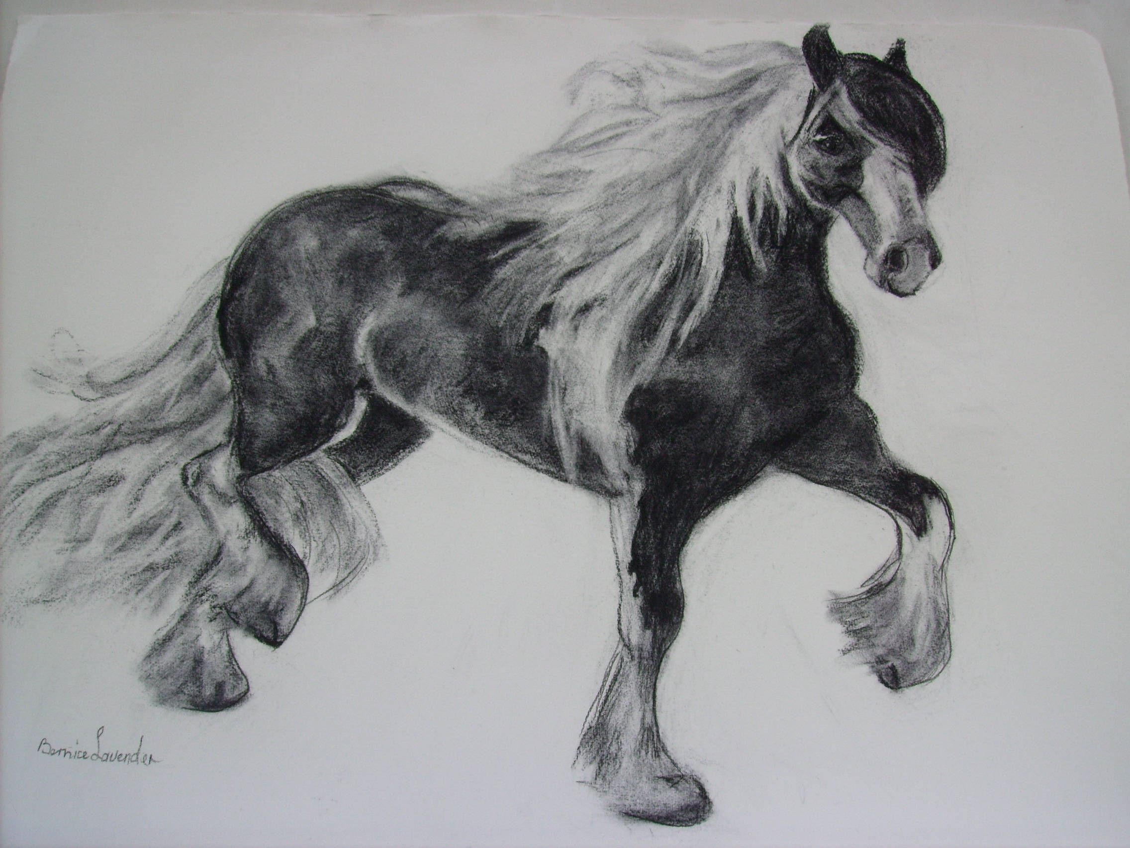 Imágenes De Caballos Dibujados