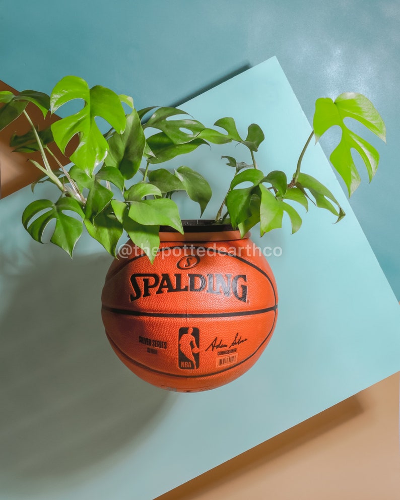Basketball Planter Indoor Plant Pot Standing Ball Planter Etsy