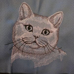 FREE NAME Tea Towel Cat Breeds Custom Embroidery British Shorthair cat Sketched