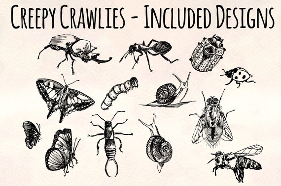 creepy crawlers bug
