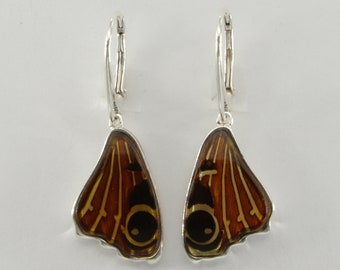 Cognac Baltic Amber Wing Earrings: 925 Sterling Silver Leverback