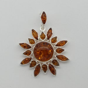 Midwest amber jewelry on sale