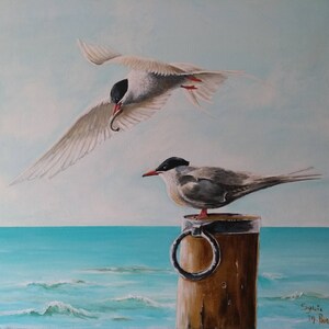 Arctic terns birds at the seaside