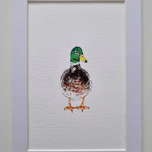Dipinto originale di germano reale, arte in miniatura, ritratto di uccello, dipinto di fauna selvatica, arte, regalo fatto a mano, montato, 5x7 pollici