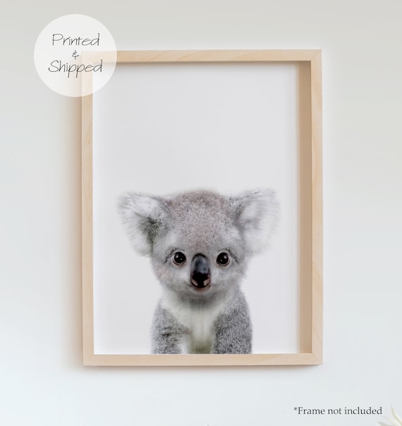 Stampa Koala, Stampa di animali per bambini, Poster di animali australiani,  Arredamento dell'asilo nido, Arte della parete per bambini, Arte della  parete dell'asilo nido, Arredamento della camera dei bambini, Stampa  Peekaboo 