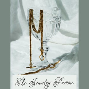 May include: A gold-toned metal chain necklace featuring a toggle clasp with a T-bar and a circular ring. The chain is draped over a clear glass goblet. The text "The Jewelry Famme" is printed in black script at the bottom of the image.