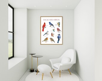 Print | Backyard Birds -- print, homeschool, educational, kid's room, digital file, nursery, play room decor