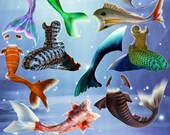 25 Mermaid tails PNG overlay photoshop Fantasy photography Fairy magic Digital photo prop Transparent Isolated Separate file Siren clipart