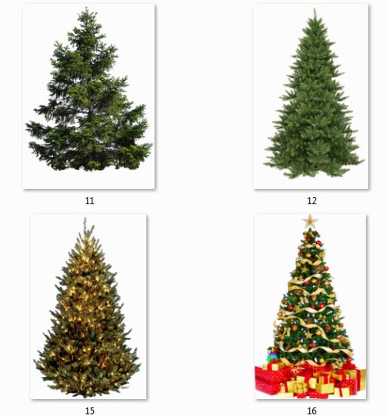Download 30 Christmas tree PNG clip art Photography overlay ...