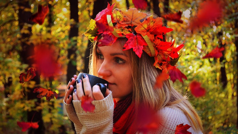 Falling leaves photoshop overlay Autumn clip art Digital photography prop Tree branches cut out Transparent background Photo backdrop