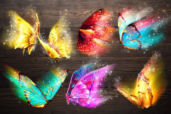 14+ Transparent Background Overlay Butterfly Png Images Images