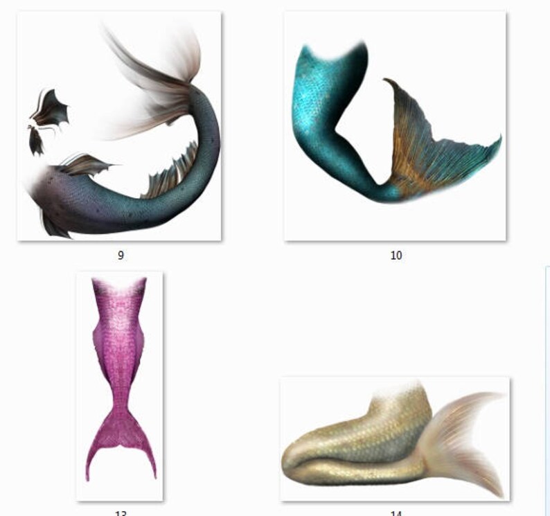 25 Mermaid Tails PNG Overlay Fantasy Photography Etsy
