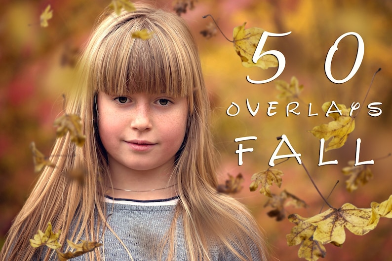 Falling leaves photoshop overlay Autumn clip art Digital photography prop Tree branches cut out Transparent background Photo backdrop
