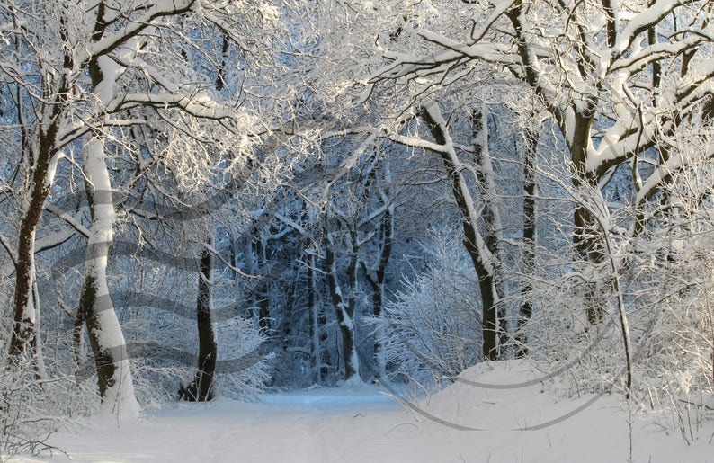 white christmas zoom background white christmas zoom background