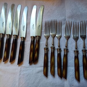 Può includere: Un set di posate antiche, composto da sei coltelli e sei forchette. I coltelli hanno lame argentate e manici marroni con un colletto argentato decorativo. Le forchette hanno rebbi argentati e manici marroni coordinati. Disposti su una superficie bianca.